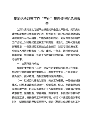 集团纪检监察工作“三化”建设情况的总结报告