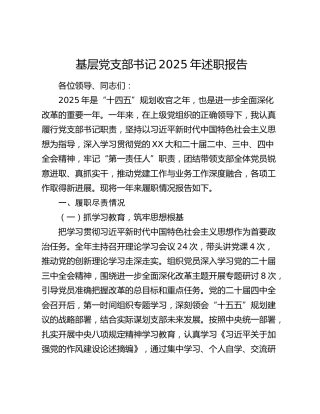 基层党支部书记2025年述职报告
