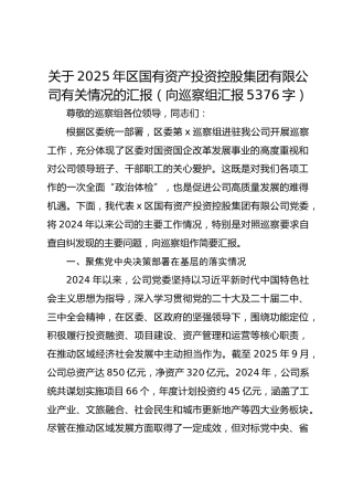 关于2025年区国有资产投资控股集团有限公司有关情况的汇报（向巡察组汇