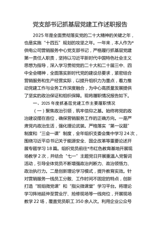 供电公司2025年党支部书记抓党建工作述职报告4000字