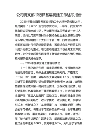 公司2025年党支部书记抓党建工作述职报告3000字