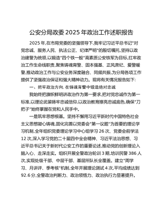 公安分局政委2025年政治工作述职报告