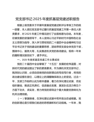 党支部书记2025年度抓基层党建述职报告