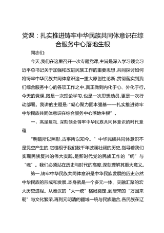 党课：扎实推进铸牢中华民族共同体意识在综合服务中心落地生根