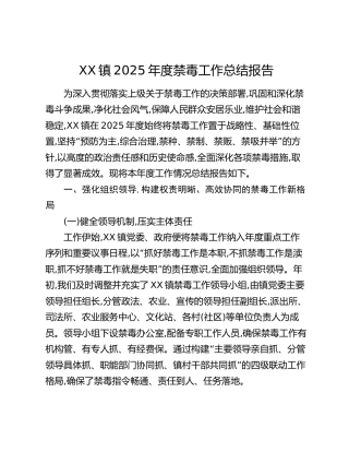 XX镇2025年度禁毒工作总结报告