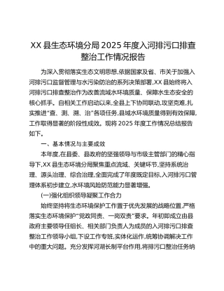 XX县生态环境分局2025年度入河排污口排查整治工作情况报告