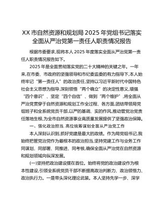 XX市自然资源和规划局2025年党组书记落实全面从严治党第一责任人职责情况报告