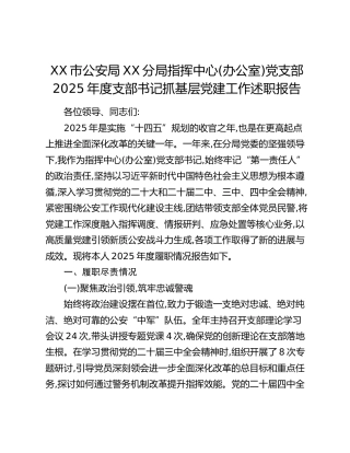 XX市公安局XX分局指挥中心(办公室)党支部2025年度支部书记抓基层党建工作述职报告