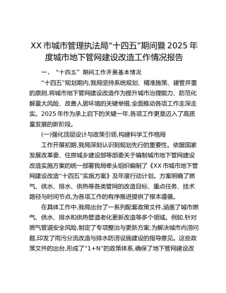 XX市城市管理执法局“十四五”期间暨2025年度城市地下管网建设改造工作情况报告