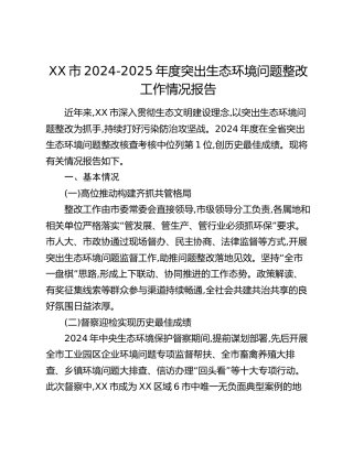 XX市2024-2025年度突出生态环境问题整改工作情况报告