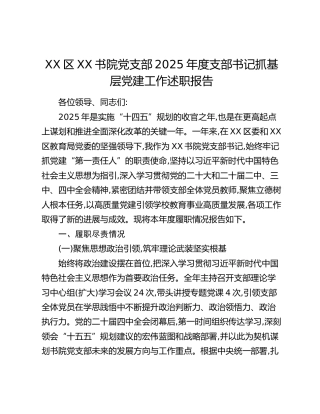 XX区XX书院党支部2025年度支部书记抓基层党建工作述职报告