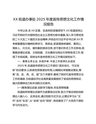 XX街道办事处2025年度宣传思想文化工作情况报告