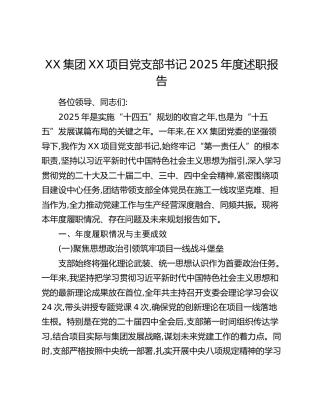 XX集团XX项目党支部2025年度党建工作述职报告