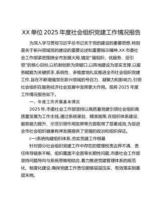 XX单位2025年度社会组织党建工作情况报告
