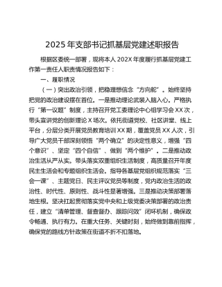 2025年支部书记抓基层党建述职报告