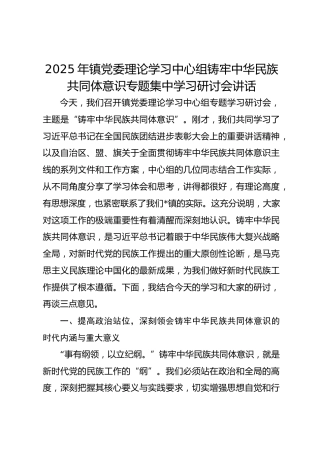 2025年镇党委理论学习中心组铸牢中华民族共同体意识专题集中学习研讨会讲话