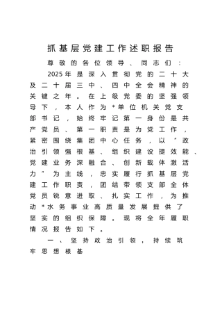 2025年水务公司党支部抓党建工作述职报告5000字