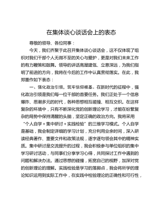 在集体谈心谈话会上的表态
