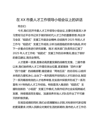 在XX市委人才工作领导小组会议上的讲话(1)