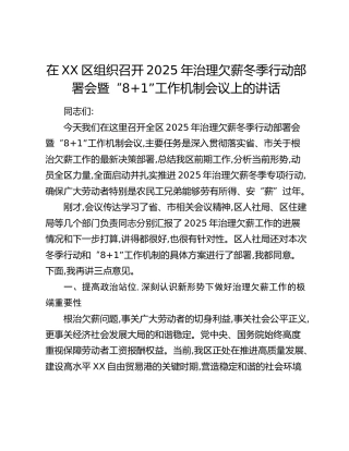 在XX区组织召开2025年治理欠薪冬季行动部署会暨“81”工作机制会议上的讲话(1)