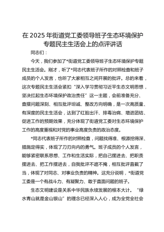 在2025年街道党工委领导班子生态环境保护专题民主生活会上的点评讲话(1)