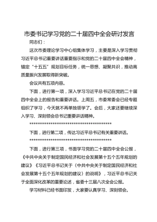 市委书记学习党的二十届四中全会研讨发言
