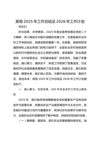 某局2025年工作总结及2026年工作计划