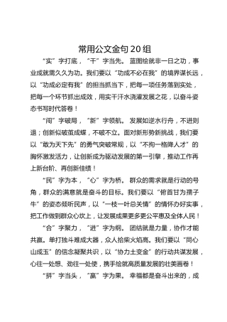常用公文金句20组