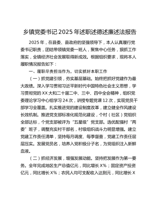 乡镇党委书记2025年述职述德述廉述法报告（2）