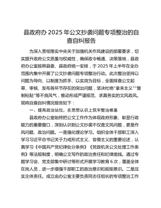 县政府办2025年公文抄袭问题专项整治的自查自纠报告（2）