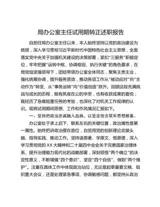 局办公室主任试用期转正述职报告（2）