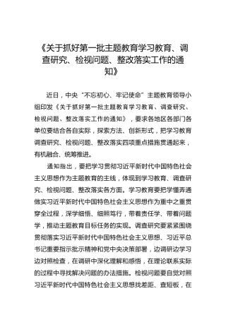 《关于抓好第一批主题教育学习教育、调查研究、检视问题、整改落实工作的通知》