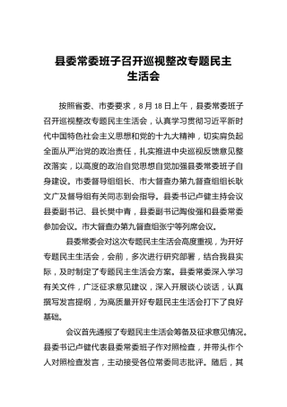 县委常委班子召开巡视整改专题民主生活会