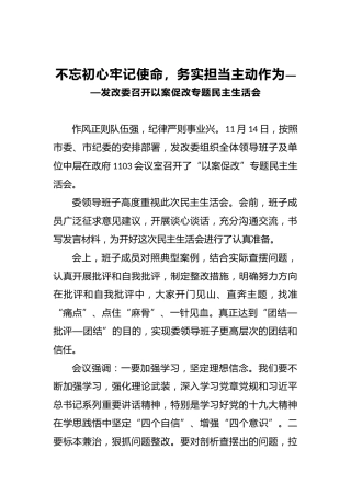 不忘初心牢记使命，务实担当主动作为——发改委召开以案促改专题民主生活会