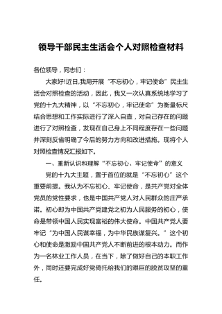 领导干部民主生活会个人对照检查材料（二）