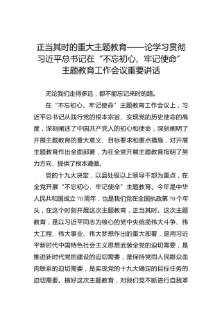 正当其时的重大主题教育——论学习贯彻习近平总书记在“不忘初心、牢记使命”主题教育工作会议重要讲话