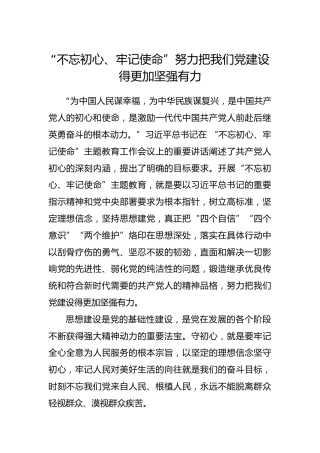 “不忘初心、牢记使命”努力把我们党建设得更加坚强有力