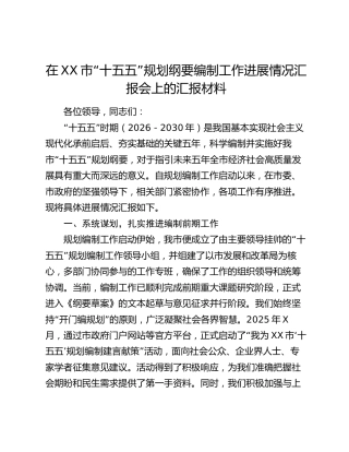 关于XX市“十五五”规划工作推进情况的报告