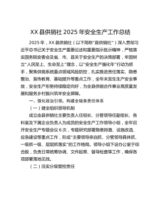 XX县供销社2025年安全生产工作总结