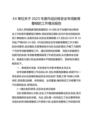 XX单位关于2025年度作战训练安全专项教育整顿的工作情况报告