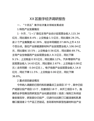 XX区数字经济调研报告