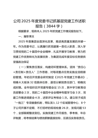 国企2025年度党委书记抓基层党建工作述职报告