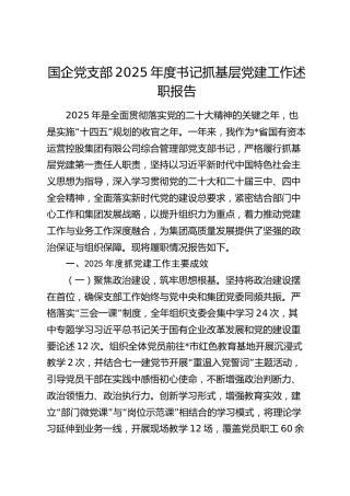 国企党支部2025年度书记抓基层党建工作述职报告