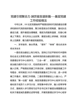党建引领聚合力踔厉奋发谱新篇----基层党建工作经验做法
