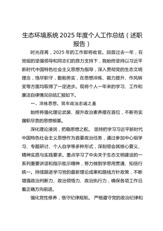 生态环境系统2025年度个人工作总结（述职报告）