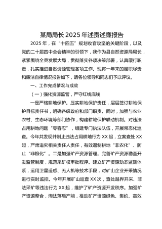 某局局长2025年述责述廉报告