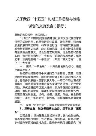 关于我行“十五五”时期工作思路与战略谋划的交流发言（银行）
