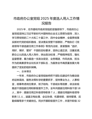 市政府办公室党组2025年度选人用人工作情况报告
