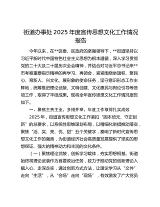 街道办事处2025年度宣传思想文化工作情况报告