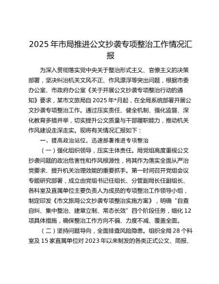 2025年市局推进公文抄袭专项整治工作情况汇报